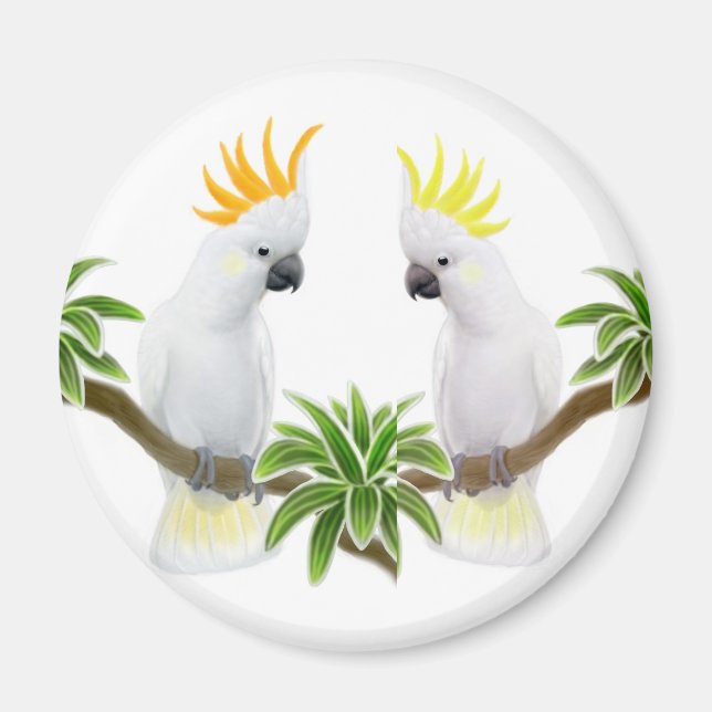 Imán Citron y Sulfur Cockatoo Magnet (Frente)