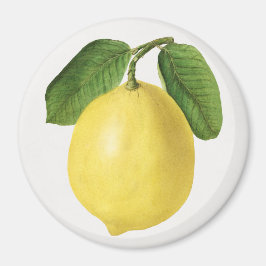 Imán Citrus