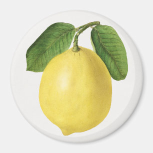 Imán Citrus