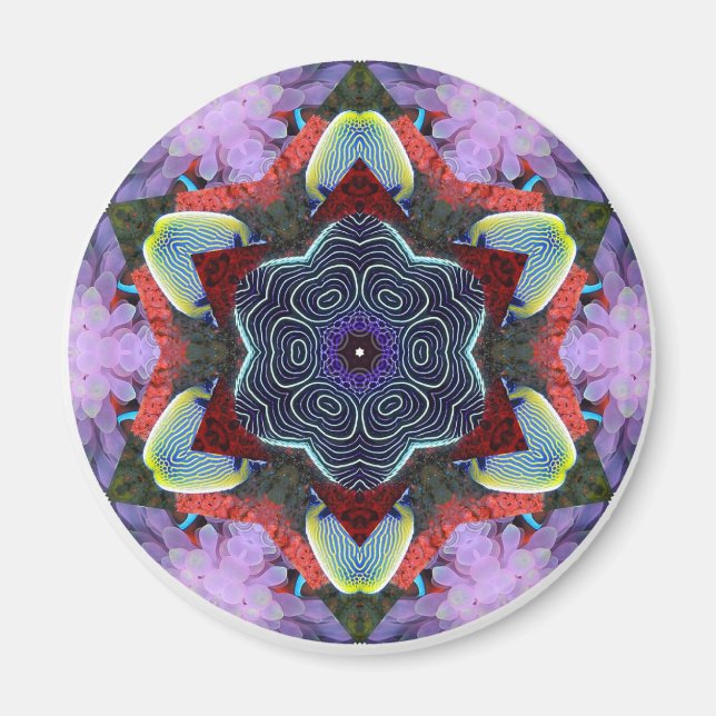 Imán Ciudad de Anemone (Frente)