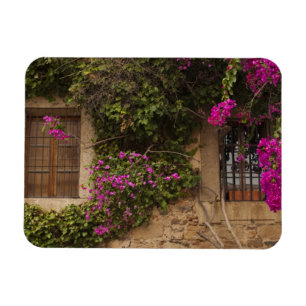 Imán Ciudad Monumental, edificios cubiertos de flores