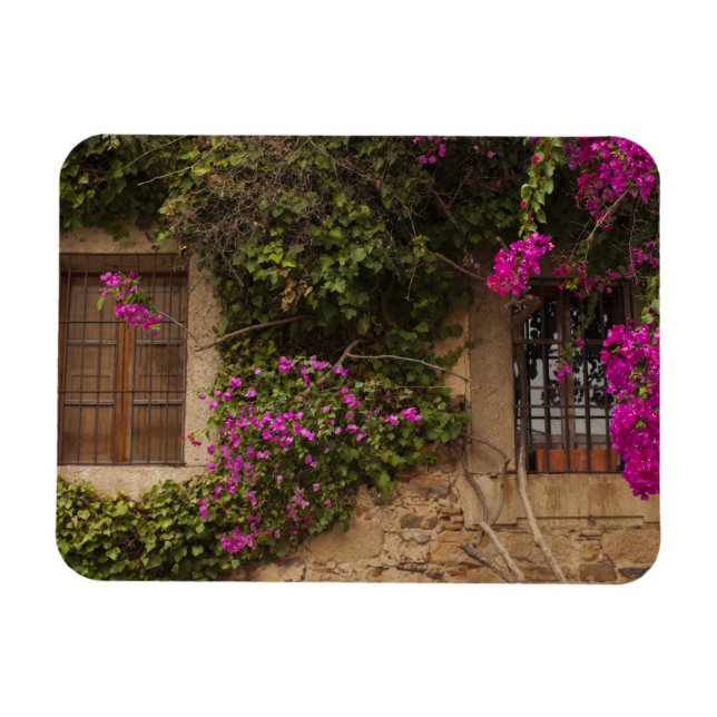 Imán Ciudad Monumental, edificios cubiertos de flores (Horizontal)