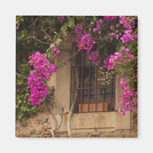 Imán Ciudad Monumental, edificios cubiertos de flores