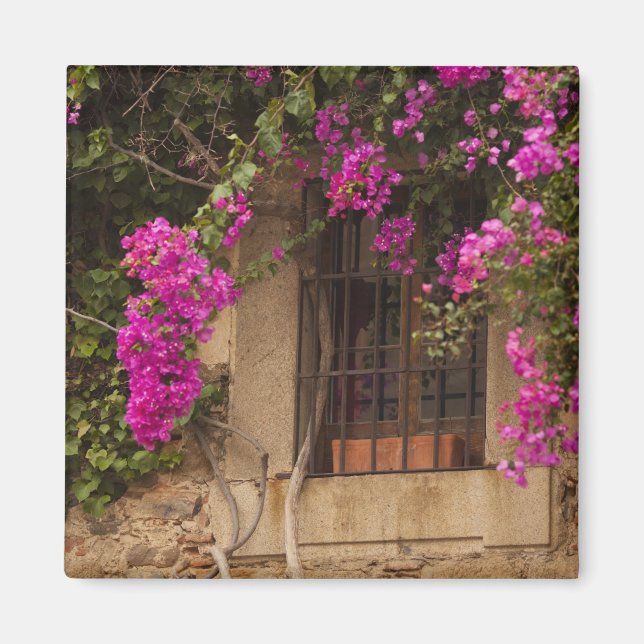 Imán Ciudad Monumental, edificios cubiertos de flores (Frente)