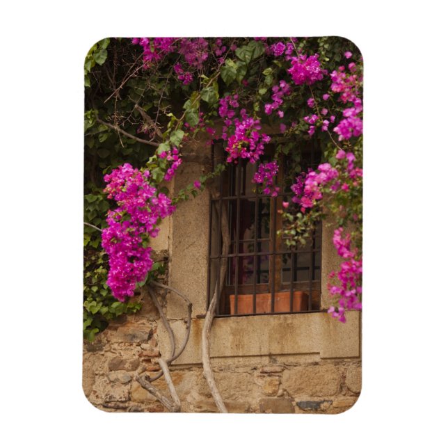 Imán Ciudad Monumental, edificios cubiertos de flores (Vertical)
