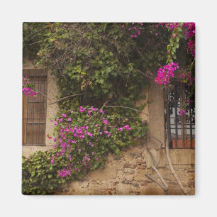 Imán Ciudad Monumental, edificios cubiertos de flores