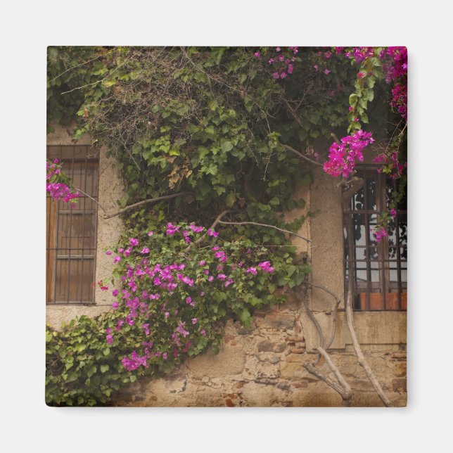 Imán Ciudad Monumental, edificios cubiertos de flores (Frente)