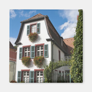 Imán Ciudad Vieja de Heidelberg, Alemania