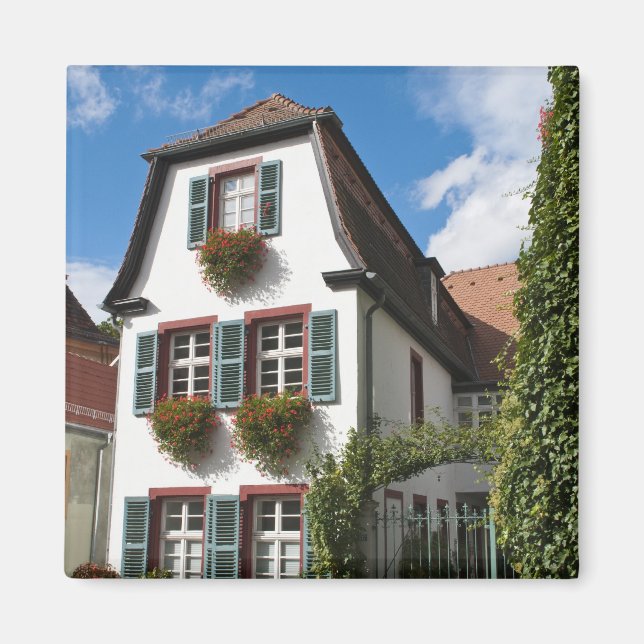 Imán Ciudad Vieja de Heidelberg, Alemania (Frente)