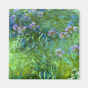 Imán Claude Monet: Agapanthus