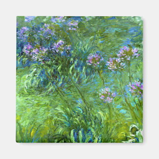 Imán Claude Monet: Agapanthus