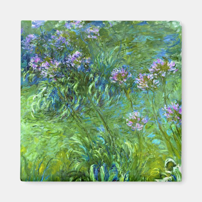 Imán Claude Monet: Agapanthus (Frente)