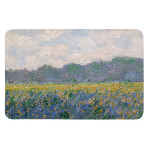 Imán Claude Monet - Campo de Lirios Amarillos en Givern