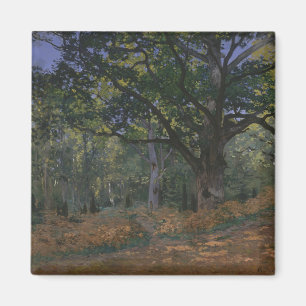 Imán Claude Monet el   el roble de Bodmer, delanteras