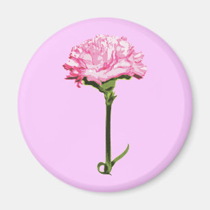 Imán Clavel Rosa