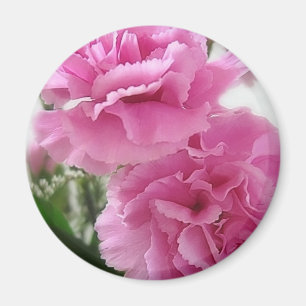 Imán Claveles rosados 1