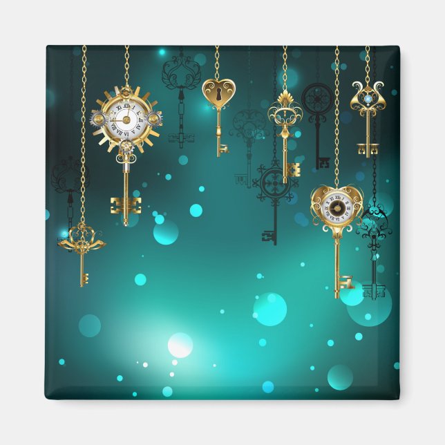 Imán Claves de esqueleto antiguas sobre fondo verde (Frente)