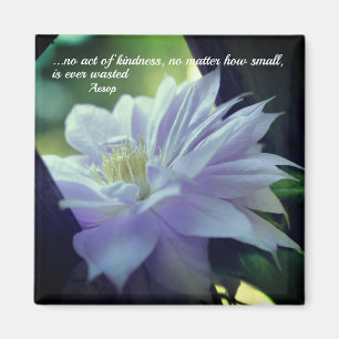 Imán Clematis Flower Kindness Inspirador