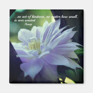 Imán Clematis Flower Kindness Inspirador