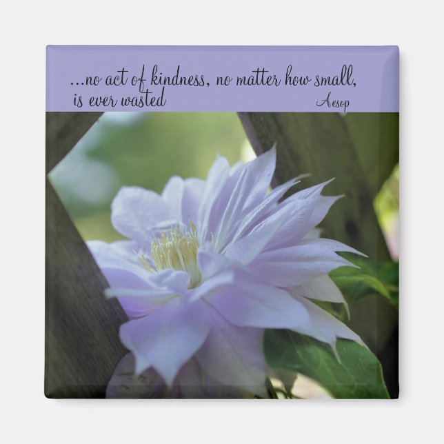 Imán Clematis Inspirador Kindness Cita Magnet (Frente)