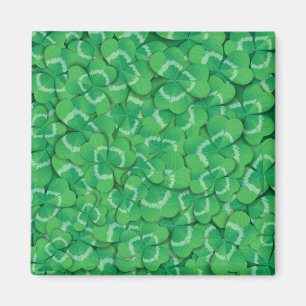 Imán Clovers