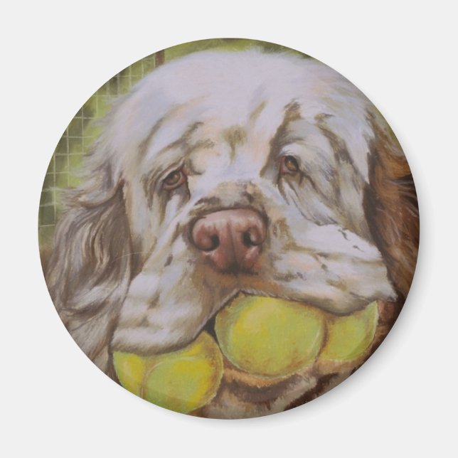 Imán Clumber Spaniel (Frente)