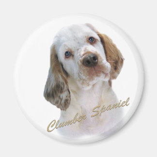 Imán Clumber Spaniel Magnet