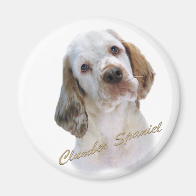 Imán Clumber Spaniel Magnet (Frente)