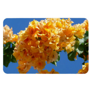 Imán Clúster de la Floral Dorada de Bougainvillea