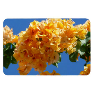 Imán Clúster de la Floral Dorada de Bougainvillea