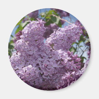 Imán Clúster Lilac