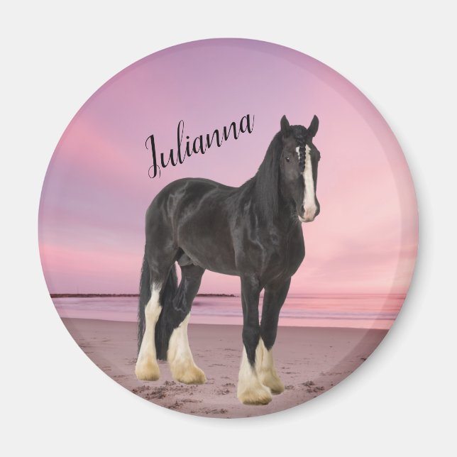 Imán Clydesdale negro y blanco en la playa al atardecer (Frente)