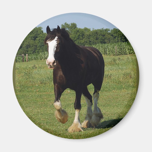 Imán Clydesdale Running (Frente)