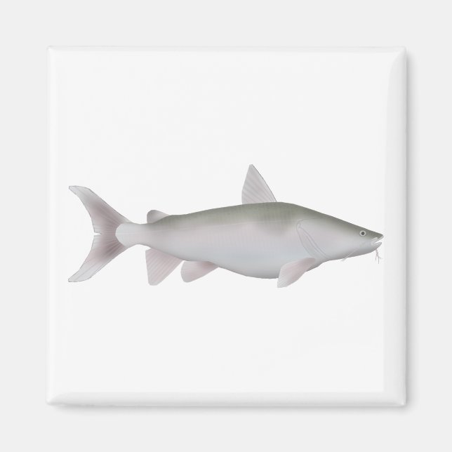 Imán Cobbler plateado (Frente)