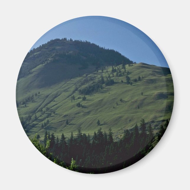 Imán Cobertura Grástica (Frente)