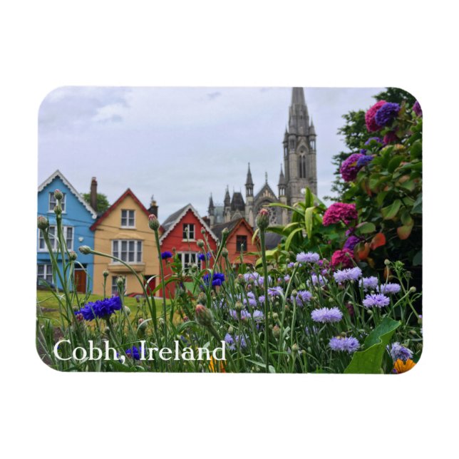 Imán Cobh, Irlanda colorida Hydrangeas Magnet (Horizontal)