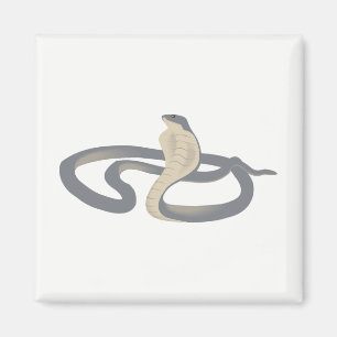 Imán Cobra