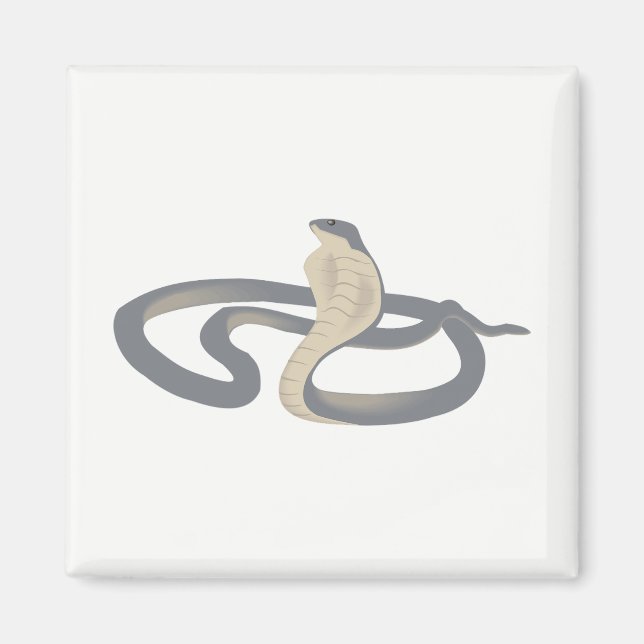 Imán Cobra (Frente)
