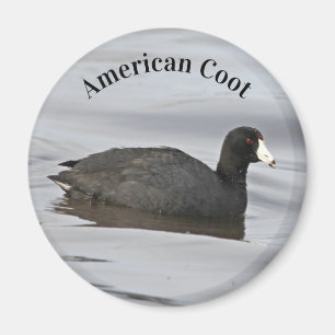 Imán Coche americano