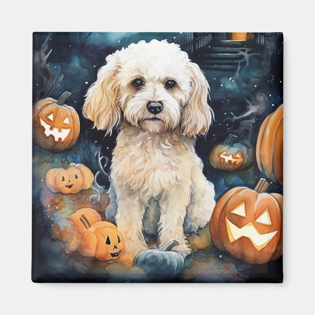 Imán Cockapoo de Halloween con calabazas aterradoras (Frente)