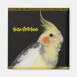 Imán Cockatiel de la primavera