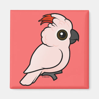 Imán Cockatoo