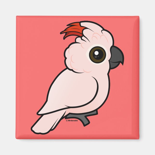 Imán Cockatoo (Frente)