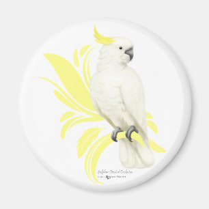 Imán Cockatoo con crema de azufre