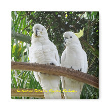 Cockatoo curado con azufre australiano