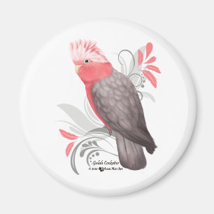Imán Cockatoo de Galah