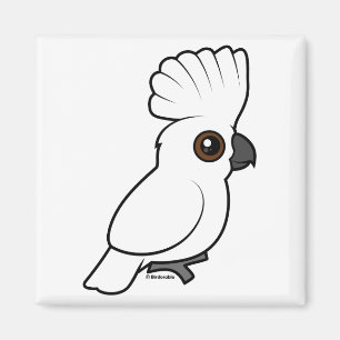 Imán Cockatoo del paraguas (criado)