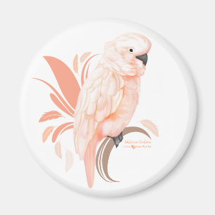Imán Cockatoo moluqueño