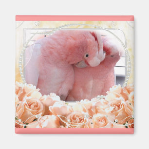 Imán Cockatoos rosados