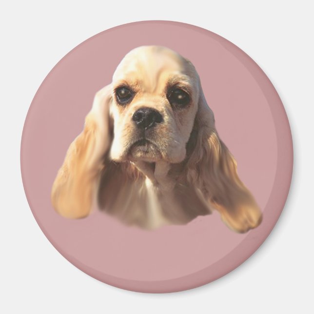 Imán Cocker Spaniel Blondie Magnet (Frente)